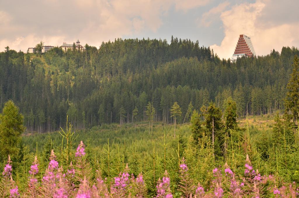 Apartman Panorama 213, Studio Comfort Štrbské Pleso Стая снимка