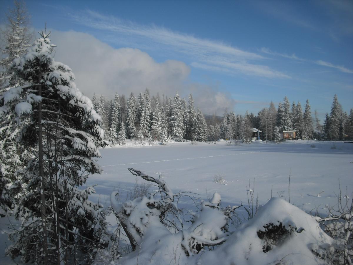 Apartman Panorama 213, Studio Comfort Štrbské Pleso Екстериор снимка
