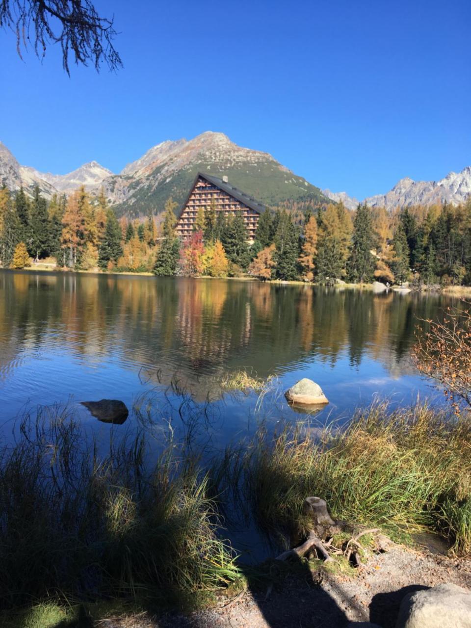 Apartman Panorama 213, Studio Comfort Štrbské Pleso Екстериор снимка